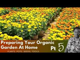 Preparing Your Organic Garden At Home