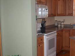 Square stick on tiles, and cabinet hardware is 25 year old tarnished bronze fruit clusters. Paint Color Advice For Kitchen With Oak Cabinets And Floors And White Appliances Thriftyfun