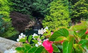 The gardens are set up by seasonal blooms and native species, including azaleas, dogwoods, and ferns. 2kntdlzg20u50m