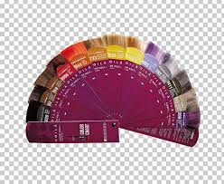 Color Chart Human Hair Color Parrucchiere Facciamoci Belli
