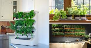 I used items i found at my local dollar store!! 20 Indoor Kitchen Garden Ideas Herb Garden In The Kitchen