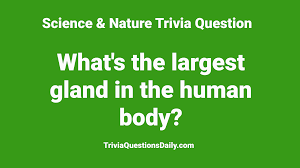 This article was updated on august 4, 2020, at 5:23pm. Science Nature Archives Trivia Questions Daily