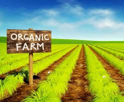 organic certification agriculture