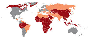 | who is most affected? Hepatitis B Trillium Gmbh Medizinischer Fachverlag