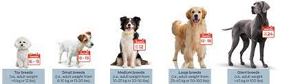 puppy growth rates purina insute