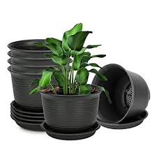 large planter garden pots
