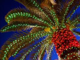 Palm Tree Lights