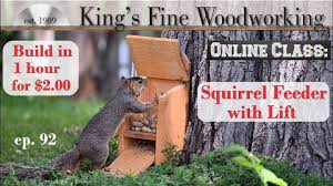 20 homemade diy squirrel feeder ideas