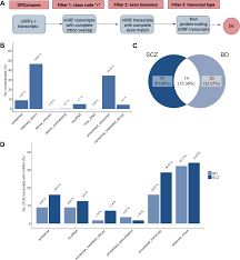 novel open reading frames in human