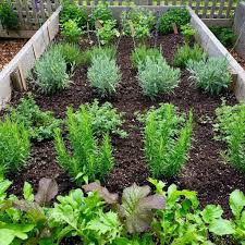 89 creative herb garden ideas for every