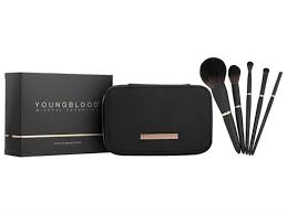 youngblood jet set makeup brush kit