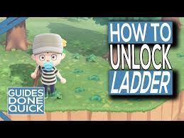 how to get a ladder in crossing