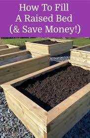 Raised Bed With Healthy Soil