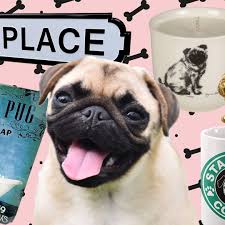 12 best pug gifts for pug pas