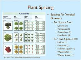 Square Foot Gardening An Educational Class Presented By
