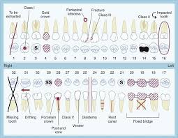 Dental Charting Symbols World Of Template Format