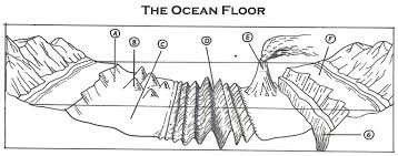 ocean floor features diagram quizlet