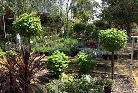 garden nurseries in perth the