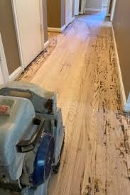 planet hardwood wood floor