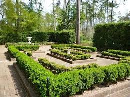mercer arboretum and botanic gardens in