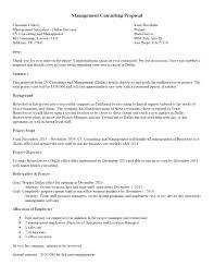 It Consulting Services Proposal Template 7 It Business