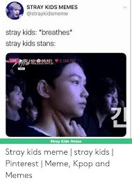 By cutteemeeee (kriseu^_^) with 452 reads. 25 Best Memes About Stray Kids Memes Stray Kids Memes