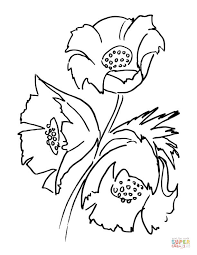 Poppy Flower Coloring Page Free Printable Coloring Pages