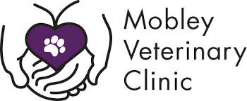 Serving pets of nashville, madison, rivergate, inglewood we, along with the inglewood, madison and east nashville communities, have changed and grown over the years but still understand the special role. Mobley Veterinary Clinic Veterinarian Pet Boarding Pet Grooming In East Nashville Tn