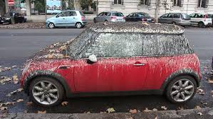 Red Cars and Bird Poop – Ornithology
