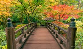Moon Bridge Portland Japanese Garden