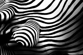 zebra symbolism comes from africa