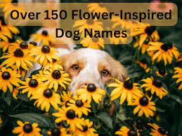 uncommon flower names for dogs