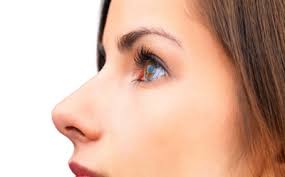 گیره کوچک کننده بینی,کوچک کننده بینی نوز آپ nose up