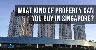 property can you in singapore
