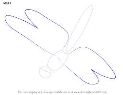 how to draw a dragonfly insects step