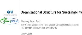 Organizational Structure For Sustainability Pdf