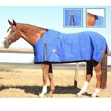 learn 97 about horse rugs australia