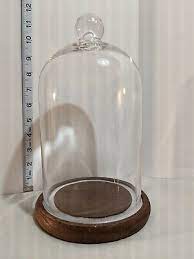 Vintage Glass Cloche Bell Jar Display
