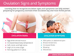 ovulation signs and symptoms shecares
