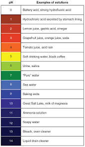 Ph Scale Saferbrowser Yahoo Image Search Results Ph Ph
