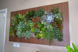 Wood Frame Succulent Wall Plant Jungle