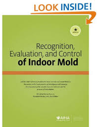 Mold Testing Air Quality And Lab Results Interpretation