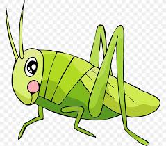 The gryllidae have mainly cylindrical bodies. Grasshopper Insect Locust Cartoon Clip Art Png 765x721px Grasshopper Animal Artwork Caelifera Cartoon Download Free