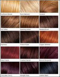 Formulated Professional Hair Stylists Http Www
