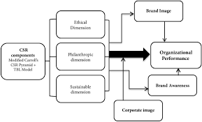 conceptual framework of the undertaken