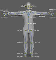 Besides, the bones in human body are classified into various categories. Azure Kinect Body Tracking Joints Microsoft Docs