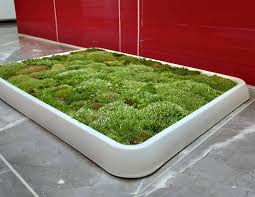live green moss bath mat the green head