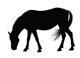 100 000 horse clipart vector images