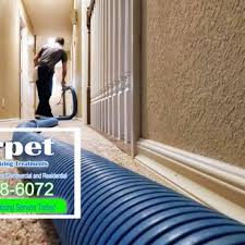 jacksonville florida carpet cleaning