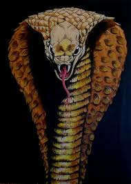 king cobra art s 900x1262 cobras hd